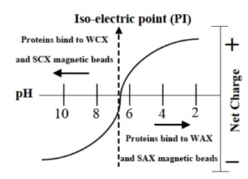 離子交換磁珠 (PuriMag Si-X)